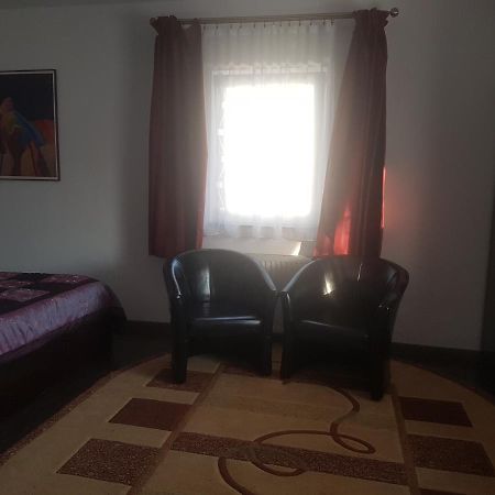 Casa David Bed and Breakfast Rădăuţi Εξωτερικό φωτογραφία